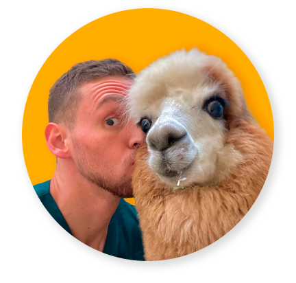 Guaraná com um alpaca