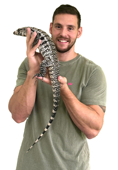 Guaraná segurando um teiú