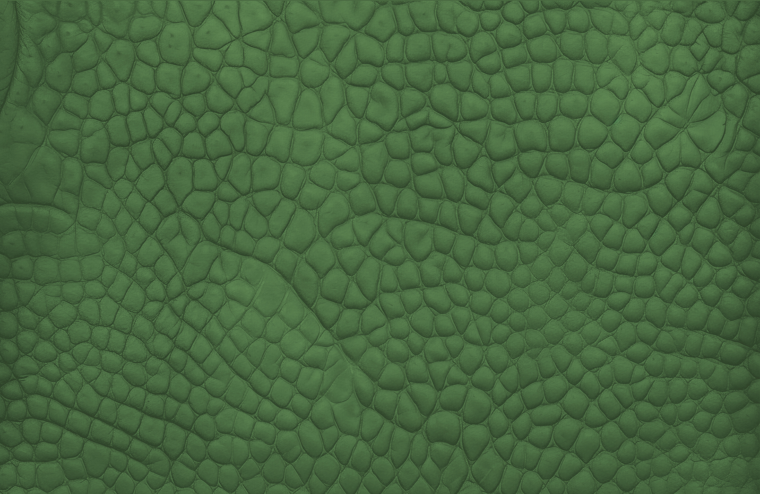 Textura de reptil